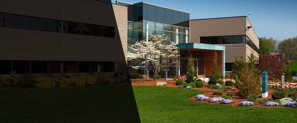 Lignum Landscapers