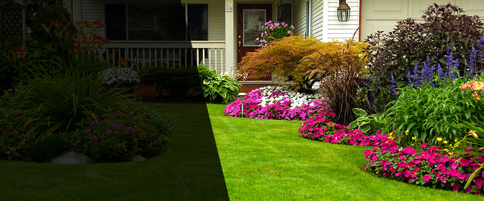 Lignum Landscapers