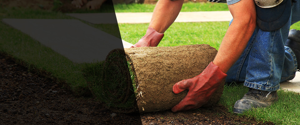 Lignum Landscapers
